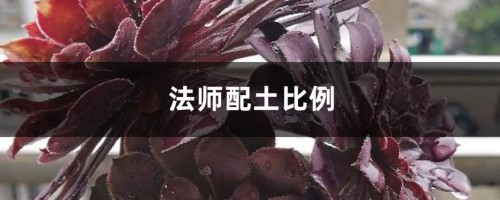 法师配土比例